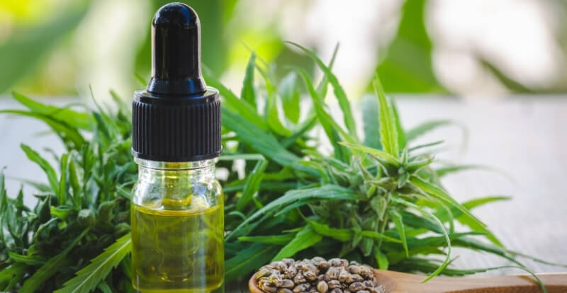 Hemp and CBD Oil