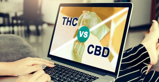 THC VS CBD