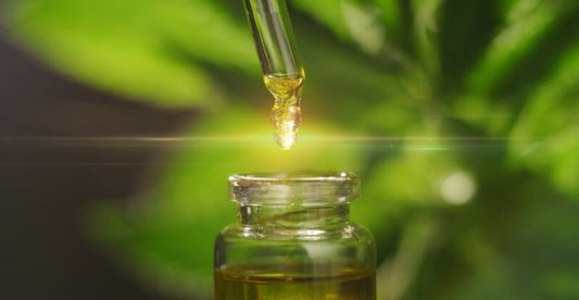 CBD production process