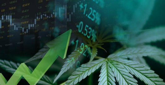 CBD Industry Growth